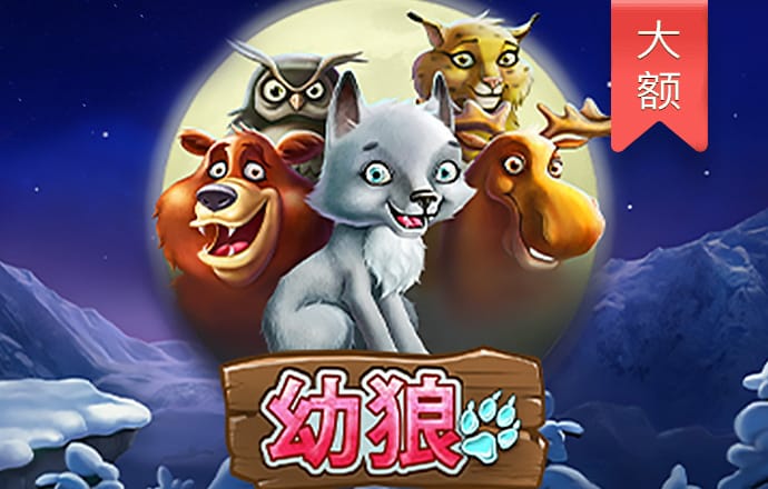 k体育